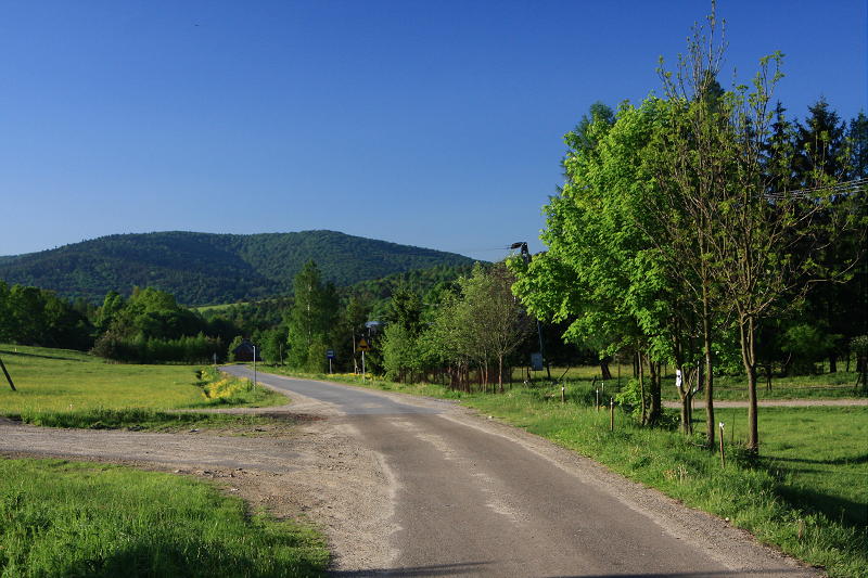 �wi�tkowa Wielka