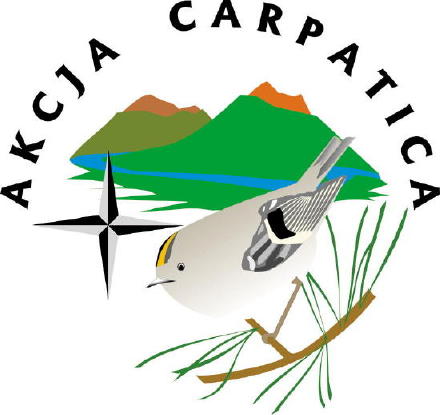 Akcja Carpatica