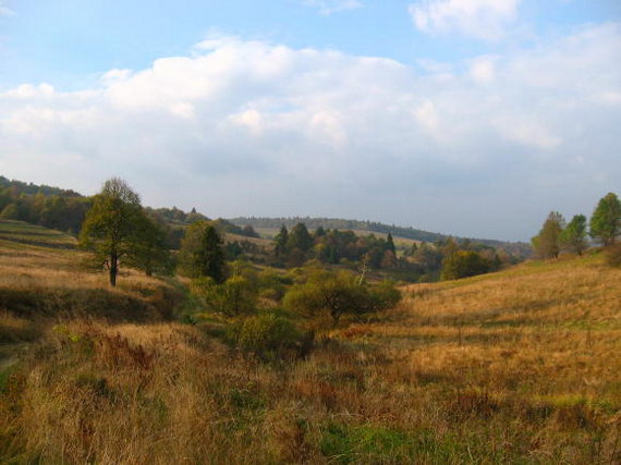 Radocyna