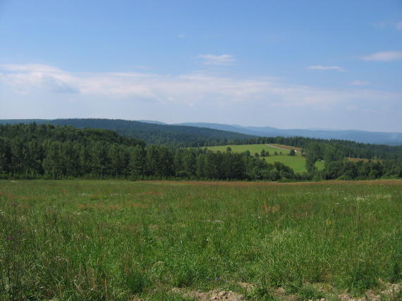 Banica ko�o G�adyszowa