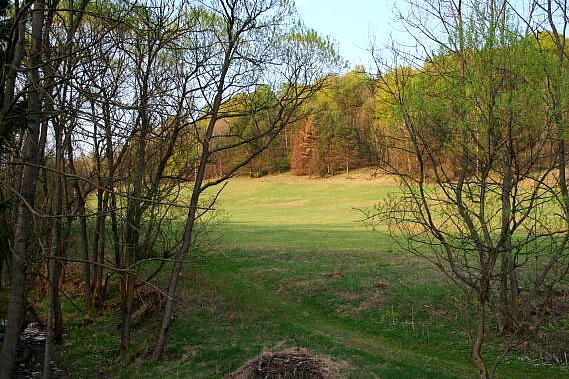 Banica k. G�adyszowa