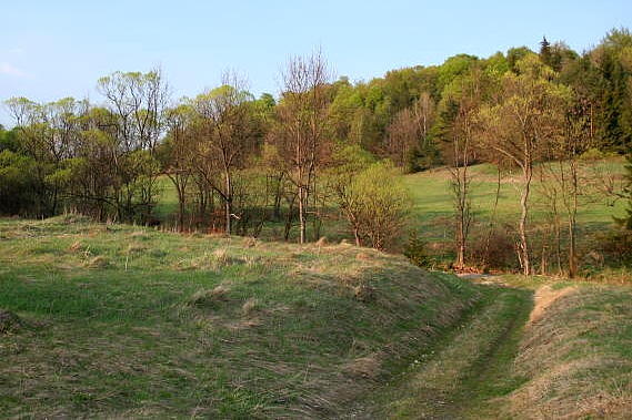 Banica k. G�adyszowa