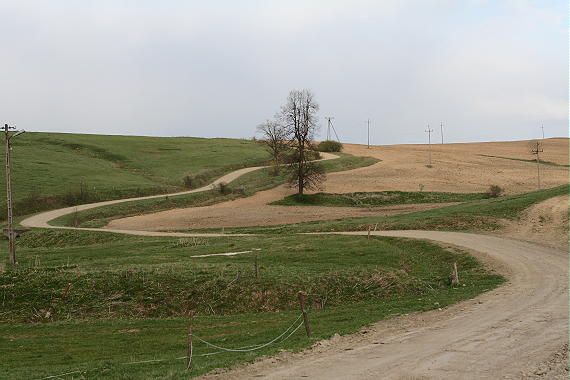 Jasionka k. G�adyszowa