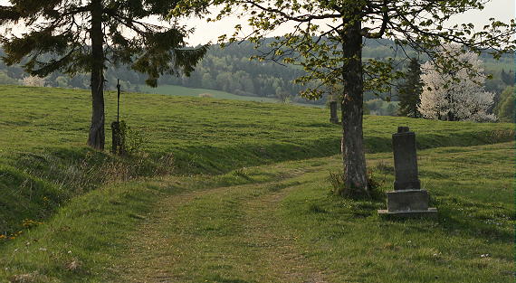 Jasionka k. G�adyszowa