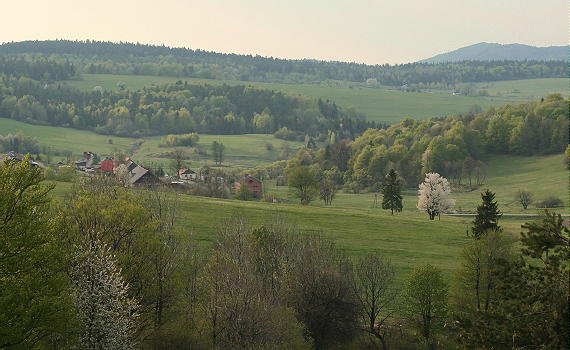 Jasionka k. G�adyszowa